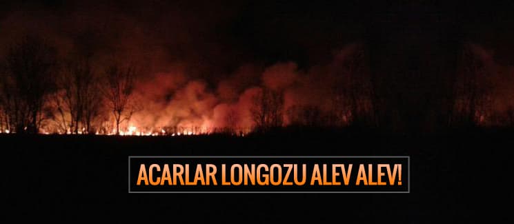 Acarlar Longozu'nda alevli gece!