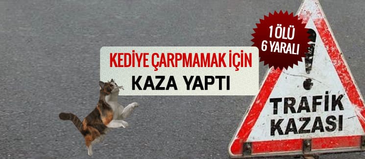 Kediye çarpmamak için kaza yaptı: 1 ölü, 6 yaralı!