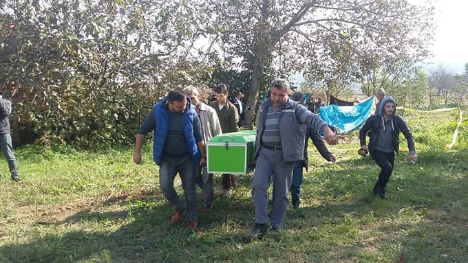 Ceviz toplamak için çıkmıştı ama...