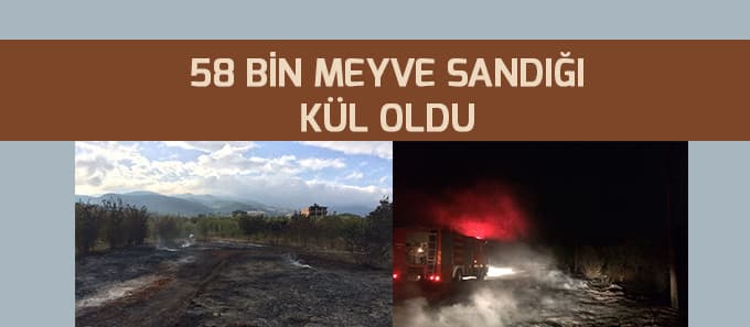 
58 Bin Meyve Sandığı Kül Oldu
