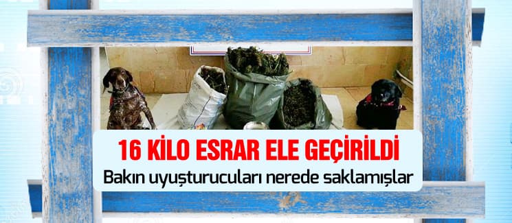 16 kilo esrar ele geçirildi