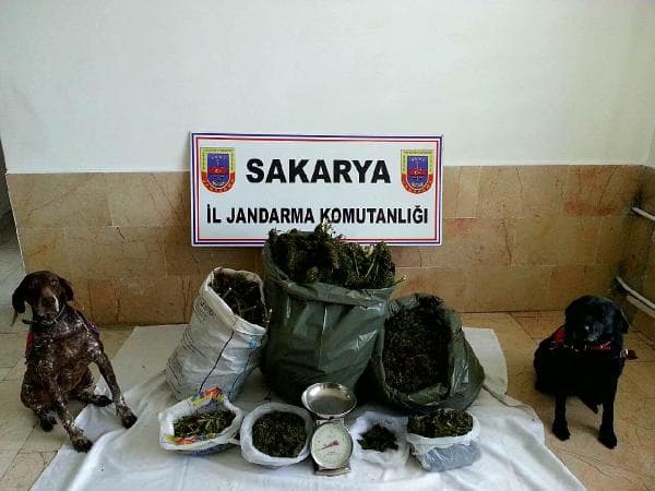 16 kilo esrar ele geçirildi