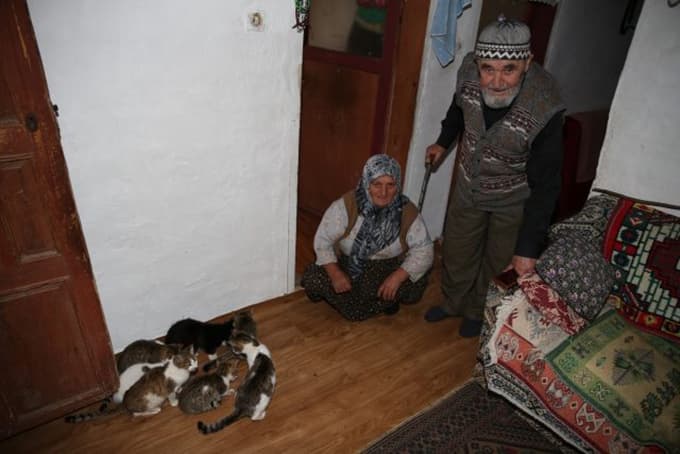 Allah çocuk vermedi biz de sevgimizi...