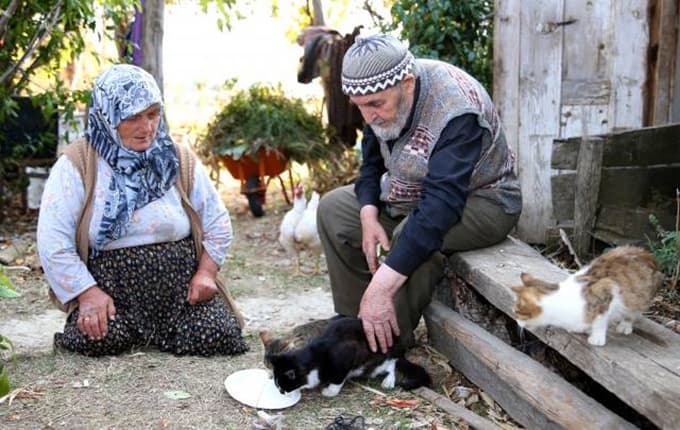 Allah çocuk vermedi biz de sevgimizi...
