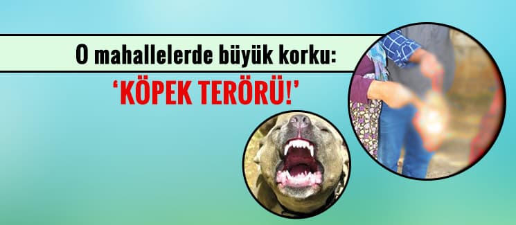 O mahallede büyük korku! 