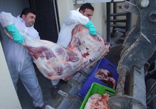 Geyve'de kaçak et ele geçirildi