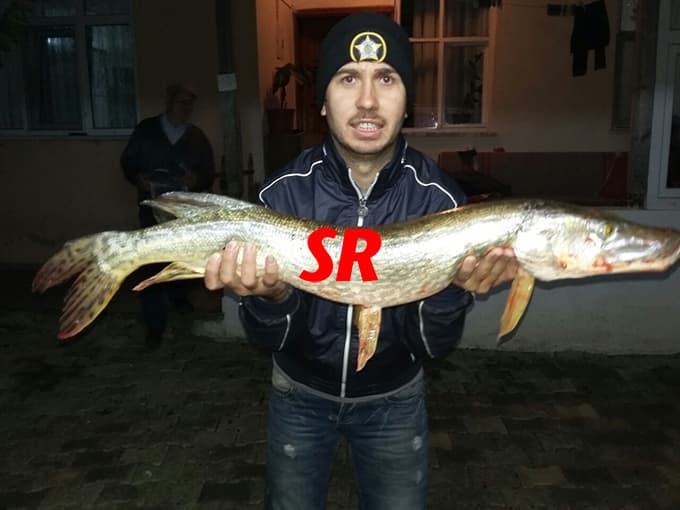 Bu balığı Sakarya Nehri'nde tuttular