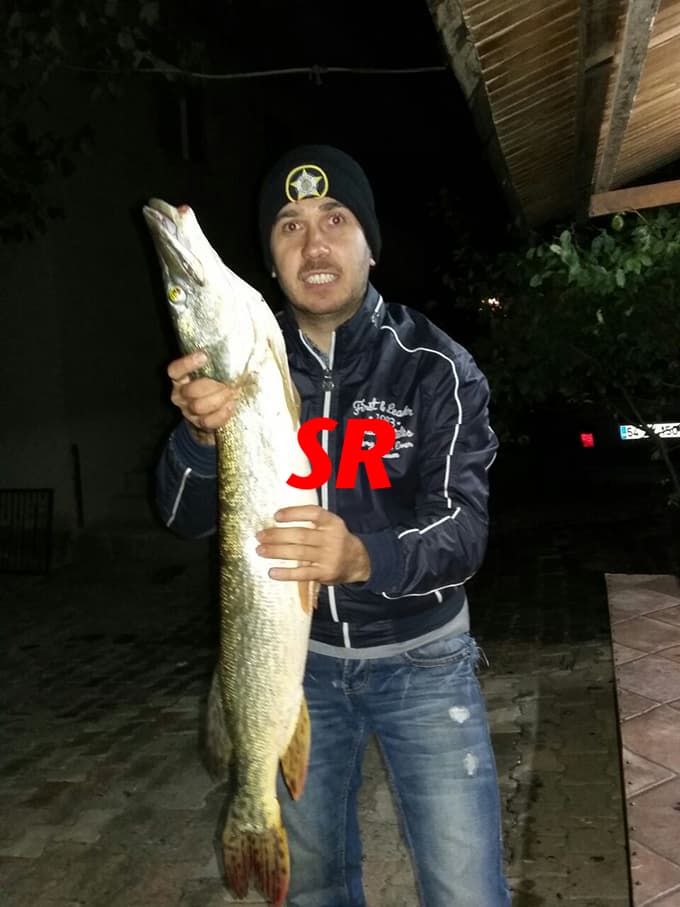 Bu balığı Sakarya Nehri'nde tuttular