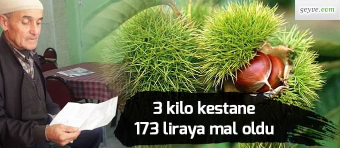 3 kg kestaneye 173 lira ceza kesildi