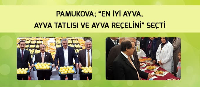 Pamukova, En iyi Ayva, Ayva Tatlısı ve Ayva Reçelini seçti