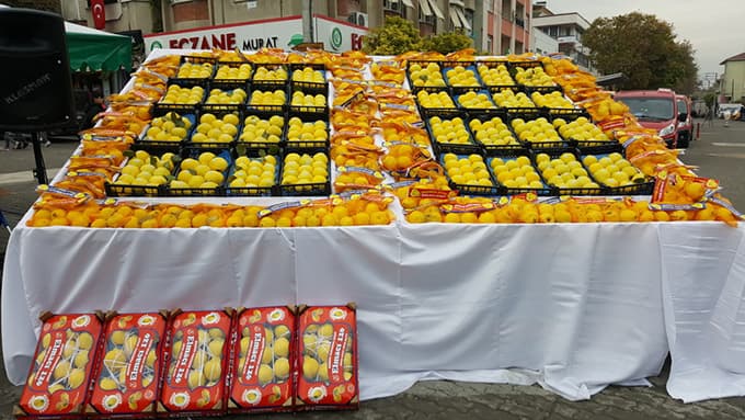 Pamukova, En iyi Ayva, Ayva Tatlısı ve Ayva Reçelini seçti