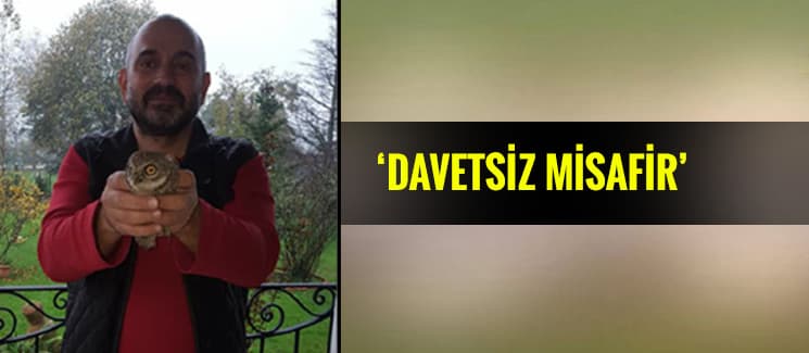 Bacadan gelen davetsiz misafir...