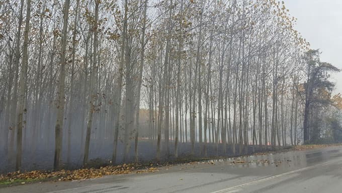 Anız yangınıyla ilçe dumana büründü