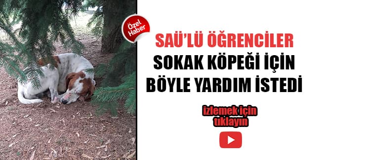 SAÜ'lü öğrencilerden yardım çağrısı