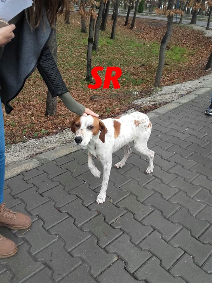 SAÜ'lü öğrencilerden yardım çağrısı