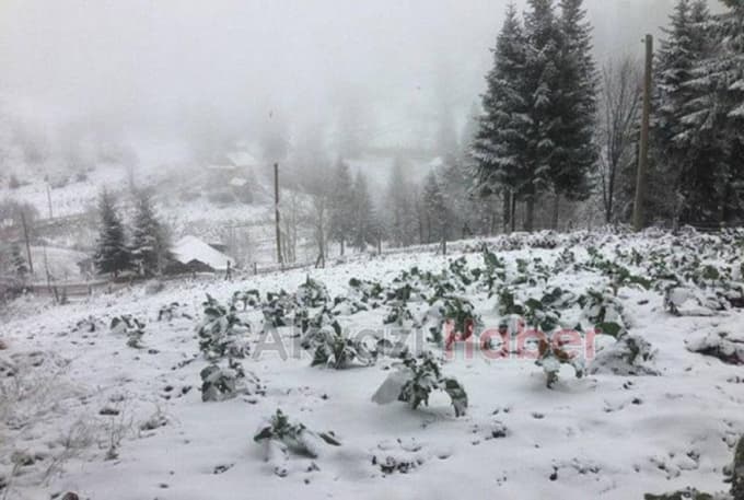 Sakarya'nın zirvesi beyaza büründü