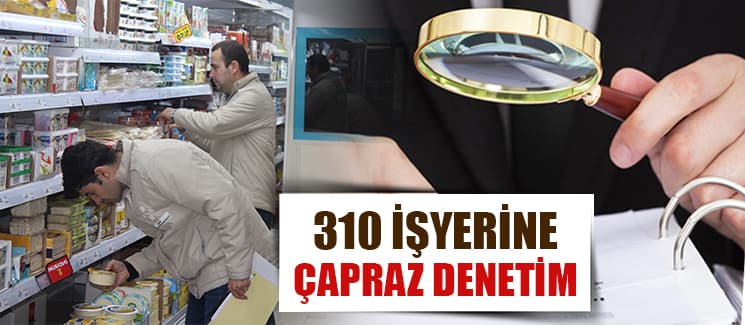 Sakarya'da 310 işyerine çapraz denetim