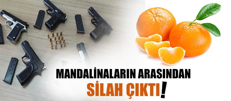 Mandalinaların arasından silah çıktı!