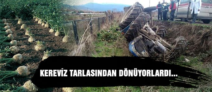 Kereviz tarlasından dönüyorlardı...