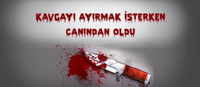 Kavgayı ayırmak isterken canından oldu
