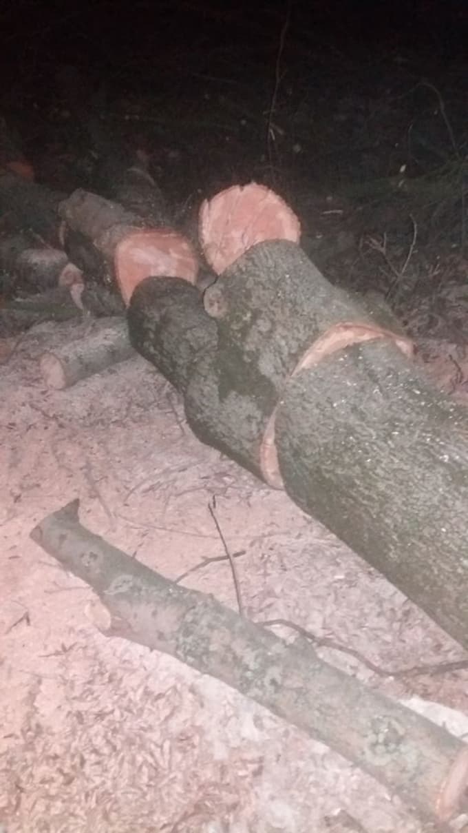 Sorumsuz vatandaş mahalleliyi çileden çıkardı.
