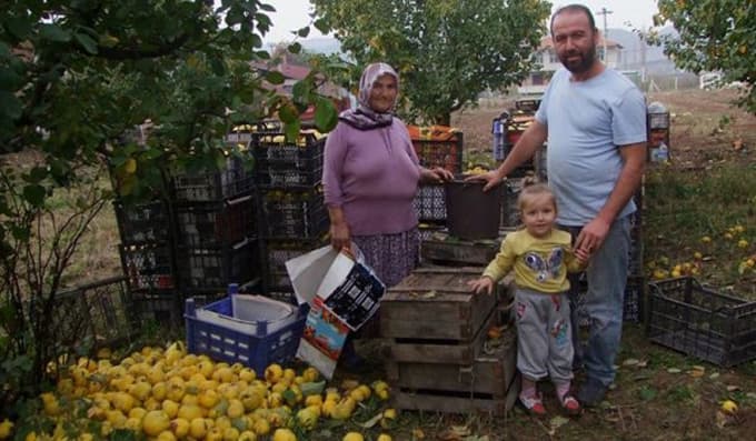 TRT, ''Sarı Elmas'' için Geyve'deydi