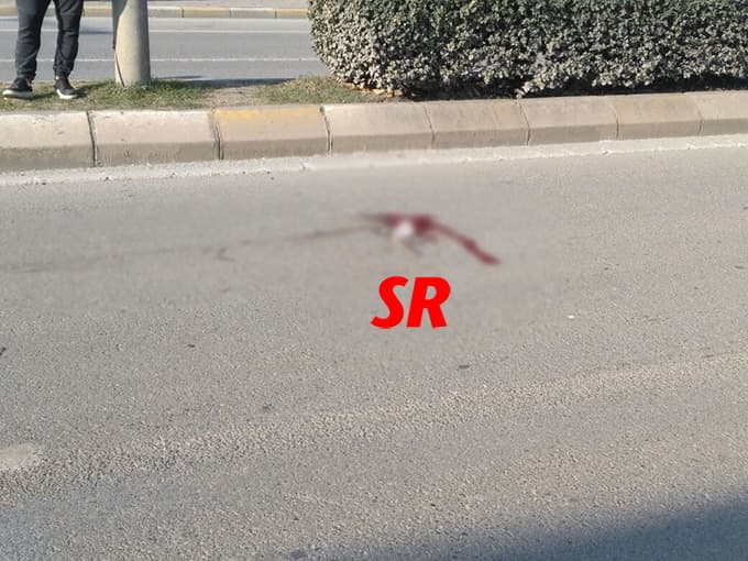 Bisikletiyle ara yoldan çıkan adama otomobil çarptı!