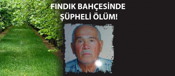 Fındık bahçesinde şüpheli ölüm