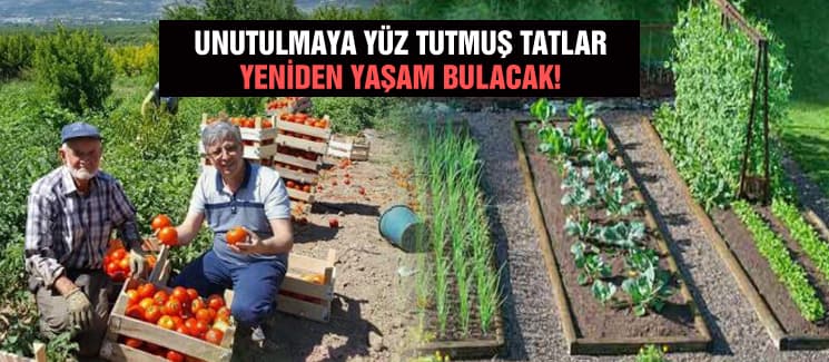 Geyve'nin gözü, yerel tatlara yöneldi