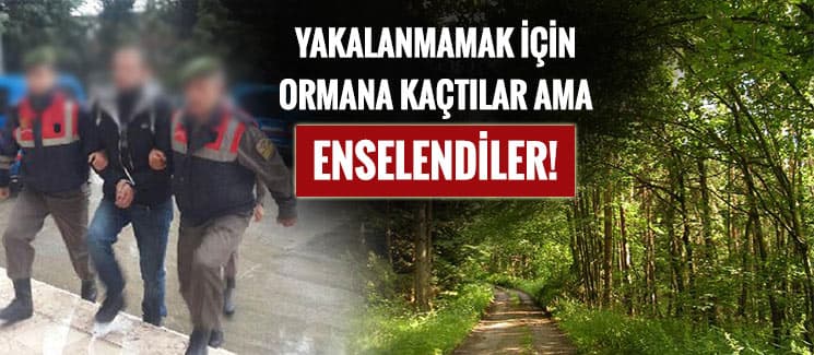 Aranan şahıslar, ormanlık alanda bulundu!