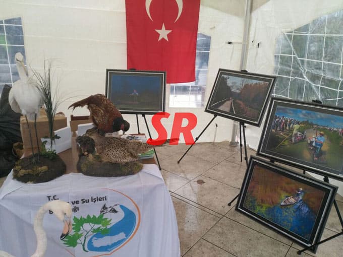 Kent Meydanı'na timsah geldi