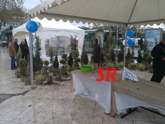 Kent Meydanı'na timsah geldi