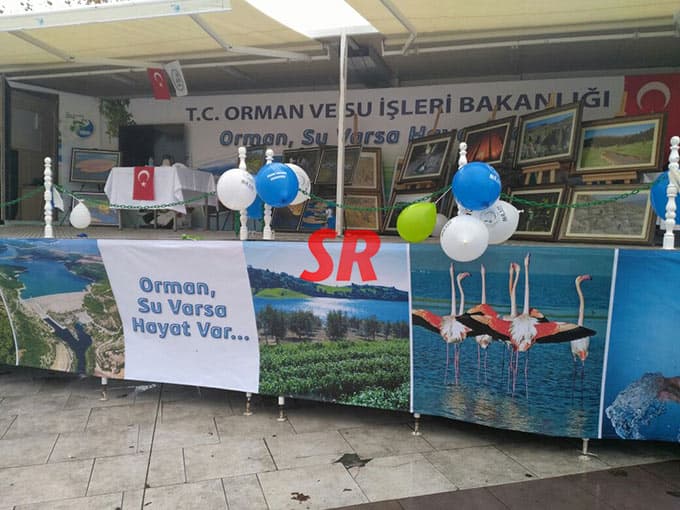 Kent Meydanı'na timsah geldi