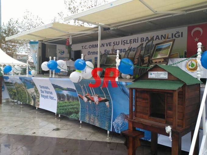 Kent Meydanı'na timsah geldi