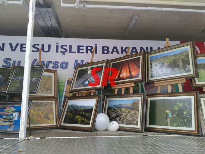 Kent Meydanı'na timsah geldi