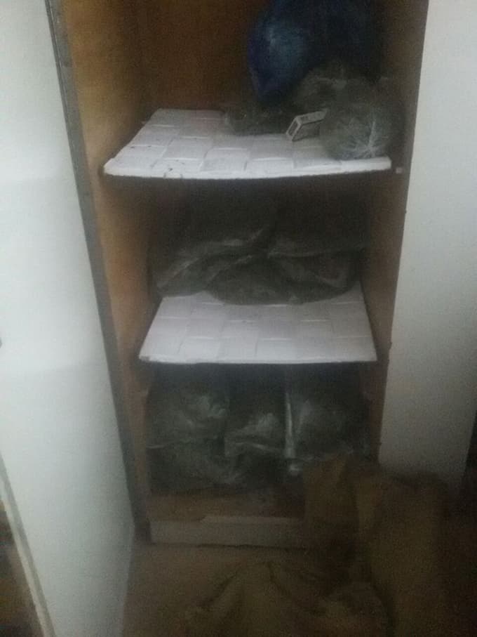 Evinden 11 kilo esrar çıktı
