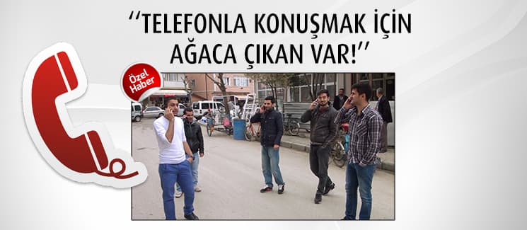 ''Telefonla konuşmak için ağaca çıkan var''