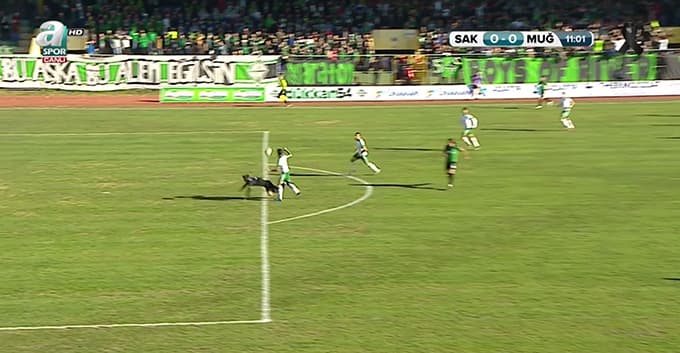 Sakaryaspor, Muğlaspor ile karşılaştı