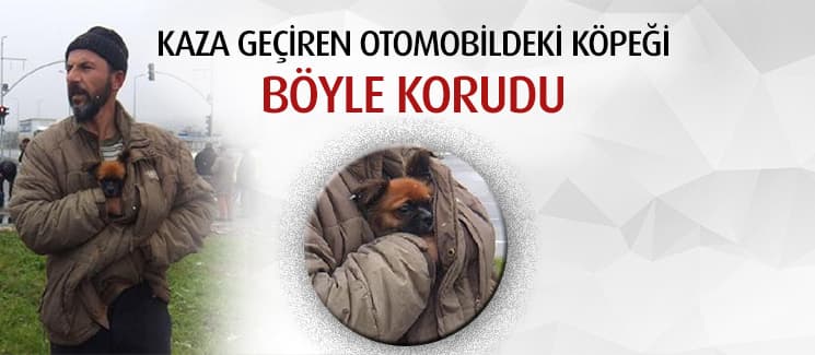 Kaza yapan otomobildeki köpeği böyle korudu