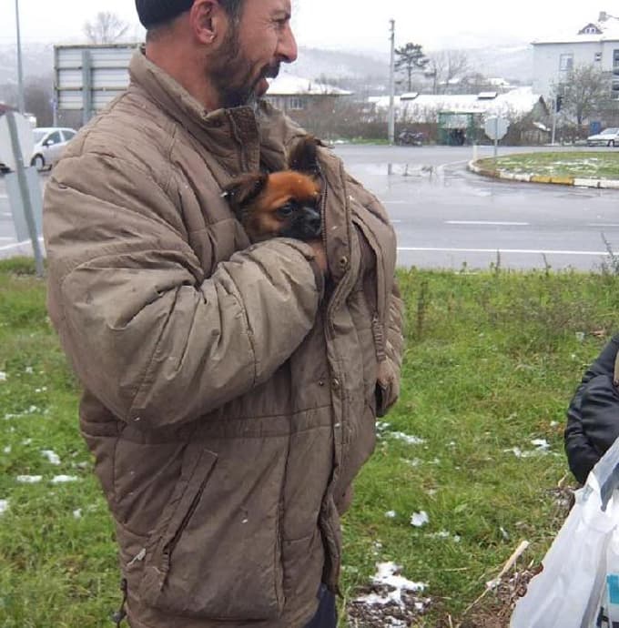 Kaza yapan otomobildeki köpeği böyle korudu