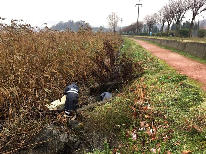 Sapanca Gölü'nün kıyısından çuvallarca çöp çıktı