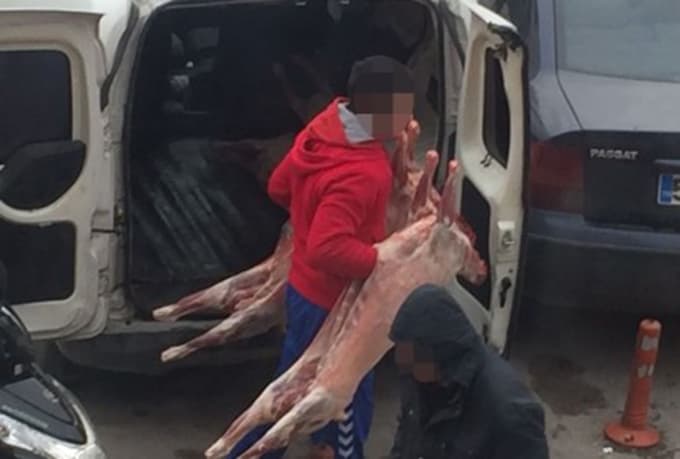 Bu görüntü, görenleri hayrete düşürdü