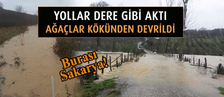Sağanak yağış hayatı felç etti