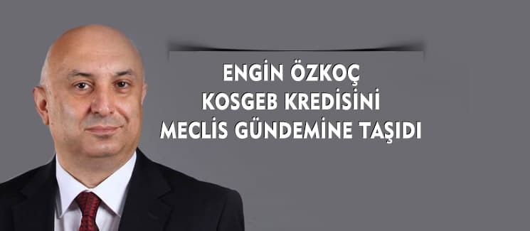 Özkoç KOSGEB kredisini meclis gündemine taşıdı