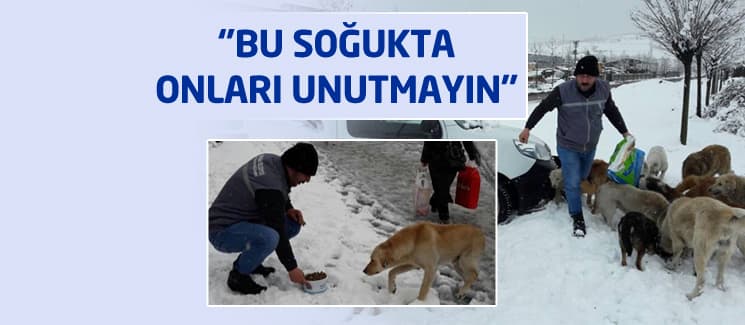 ''Bu soğukta onları unutmayın''