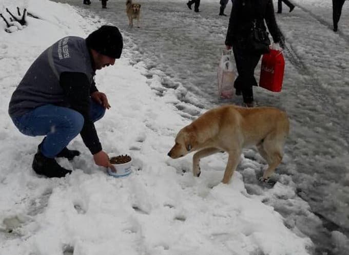 ''Bu soğukta onları unutmayın''