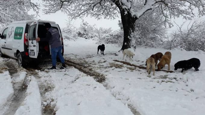 ''Bu soğukta onları unutmayın''