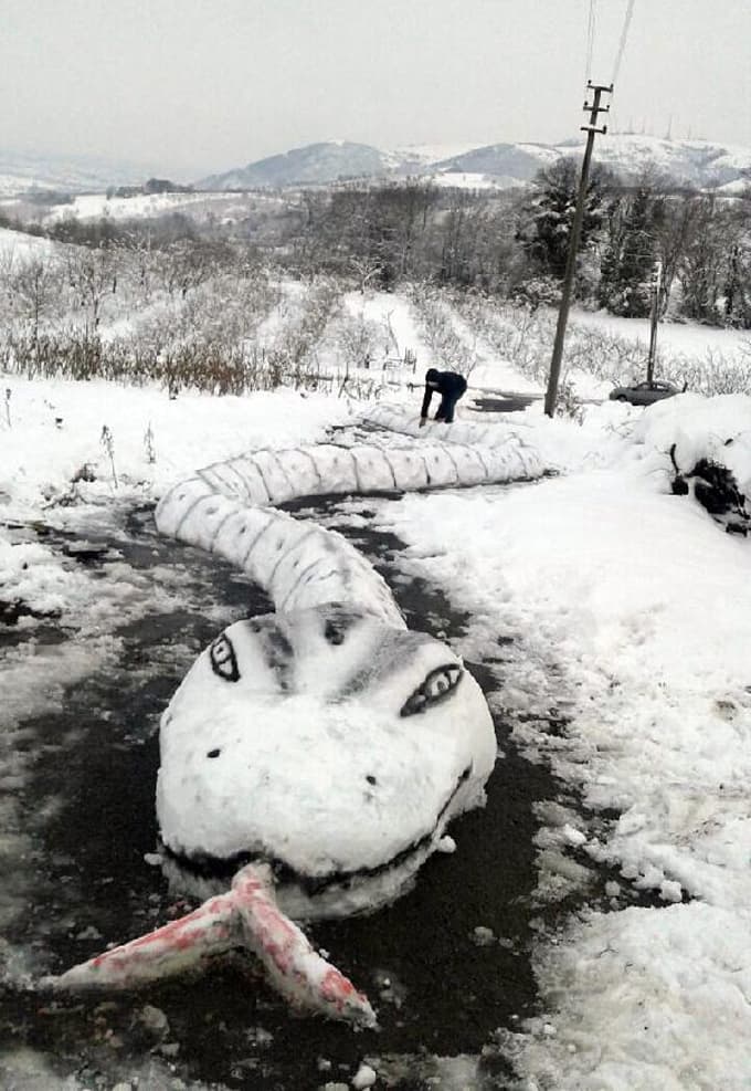 30 metre uzunluğunda yılan yaptı