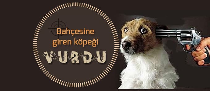 Bahçesine giren köpeği vurdu