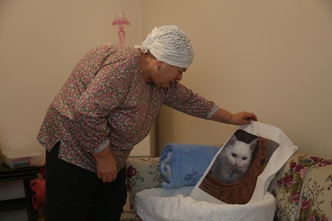 Kaybolan kedisine kavuşacağı günü bekliyor